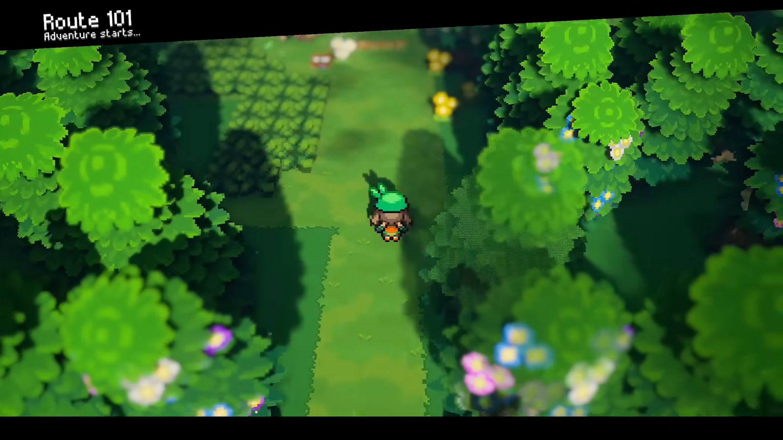 Player exploring Route 101 in Pokemon Gamma Emerald